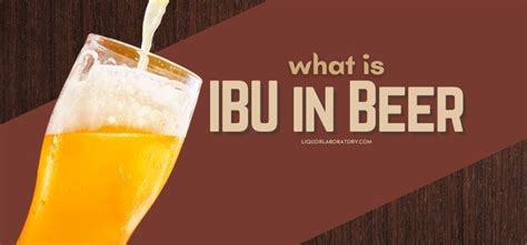 ibu meaning|IBU in Beer: What It Is and How It Works .